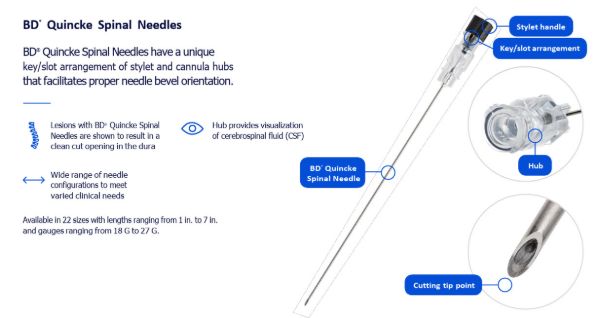 Picture of BD Quincke Spinal Needles